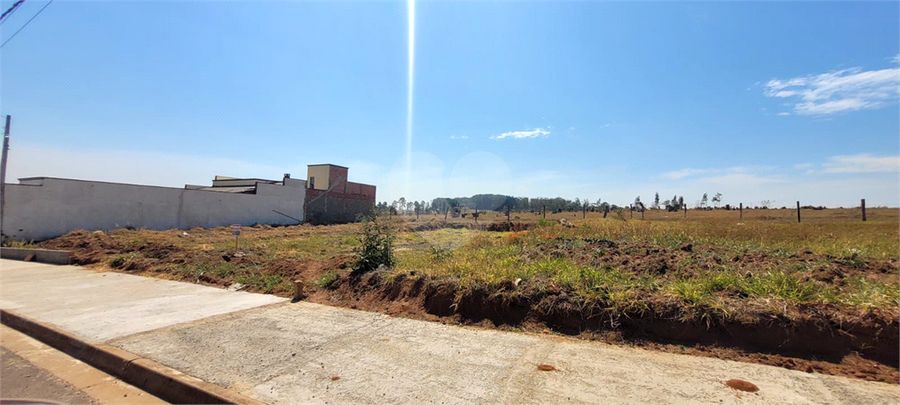 Foto REO1129305