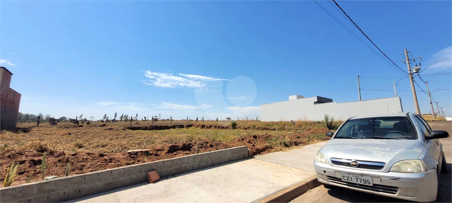 Foto REO1129305