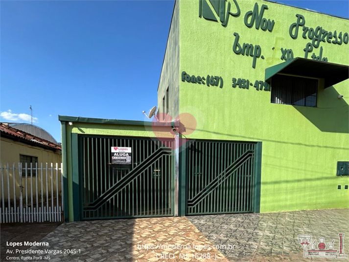 Foto REO1129312