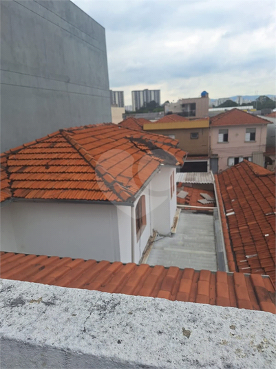 Foto REO1129325