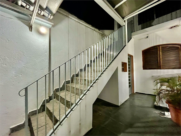 Foto REO1129325