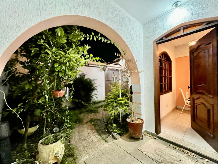 Foto REO1129325