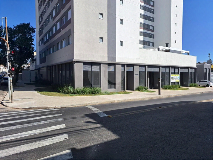 Foto REO1129338