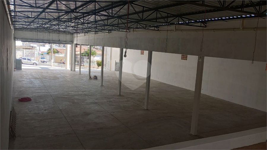 Foto REO1129339