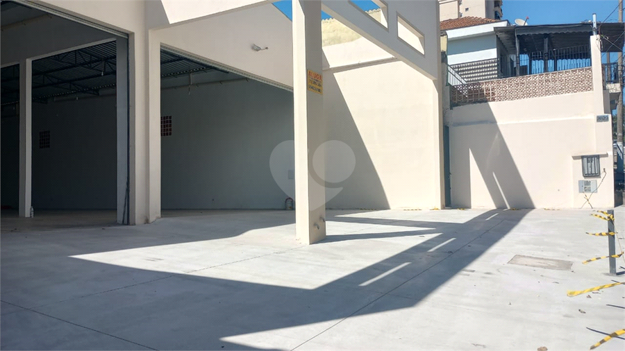 Foto REO1129339