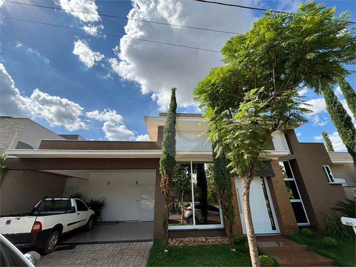 Foto REO1129343