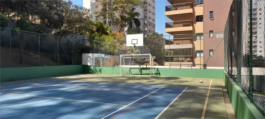 Foto REO1129344