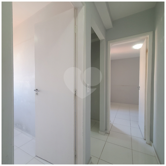Foto REO1129347