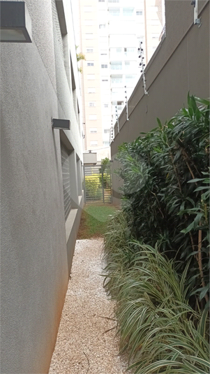 Foto REO1129350