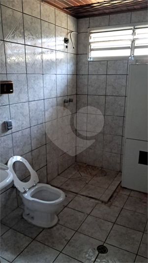 Foto REO1129369