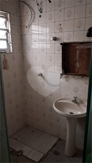 Foto REO1129369