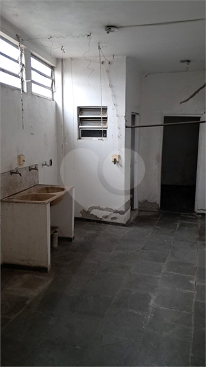 Foto REO1129369