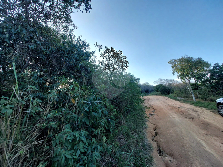 Foto REO1129387