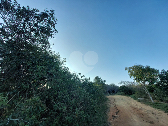 Foto REO1129387