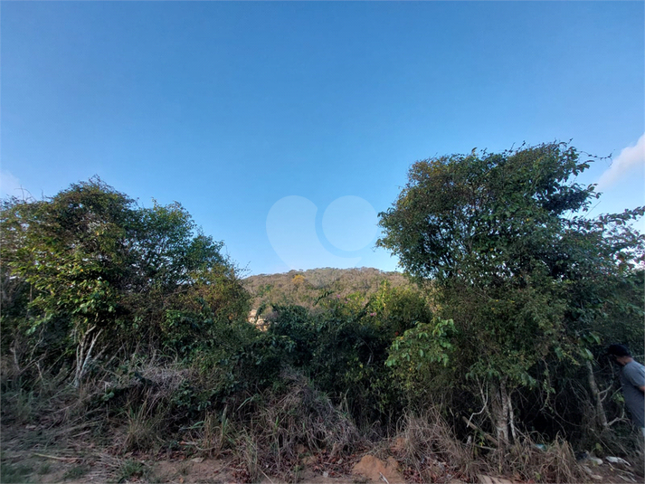 Foto REO1129387