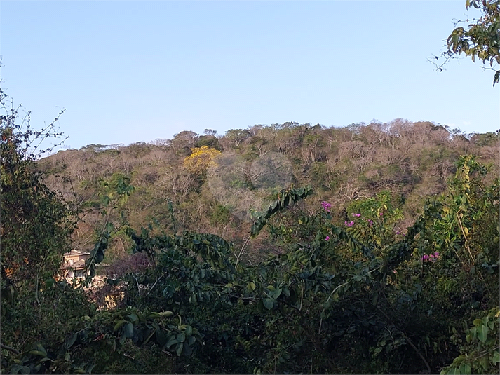 Foto REO1129387