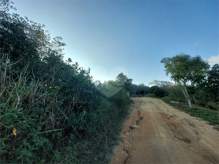 Foto REO1129387