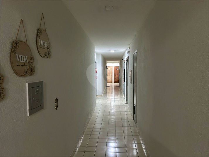 Foto REO1129395