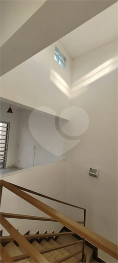 Foto REO1129397