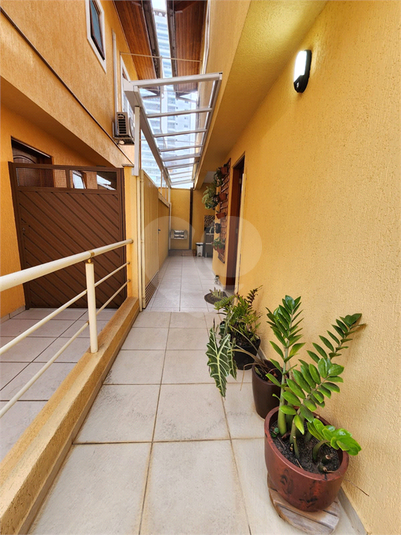 Foto REO1129399