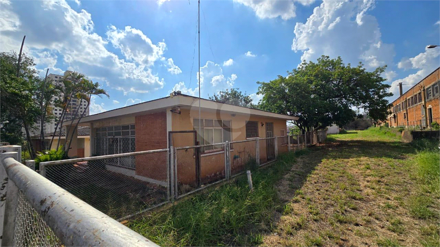 Foto REO1129400