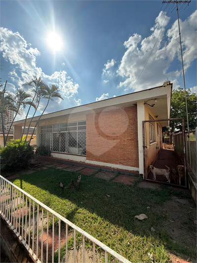 Foto REO1129400