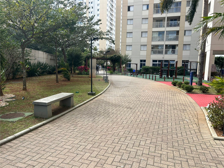 Foto REO1129413