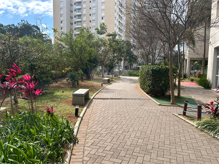 Foto REO1129413