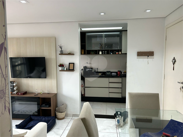 Foto REO1129413