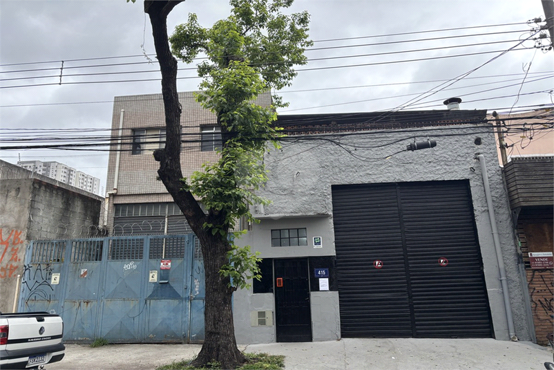 Foto REO1129424