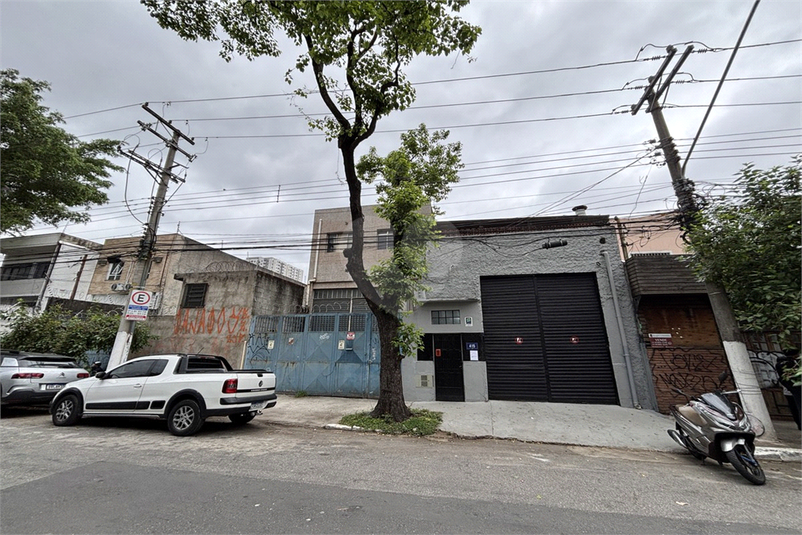 Foto REO1129424
