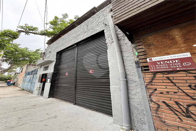 Foto REO1129424