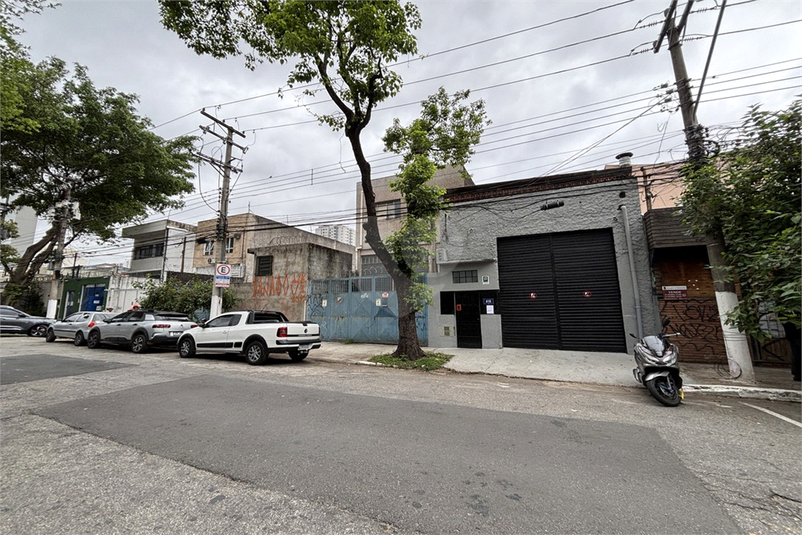 Foto REO1129424