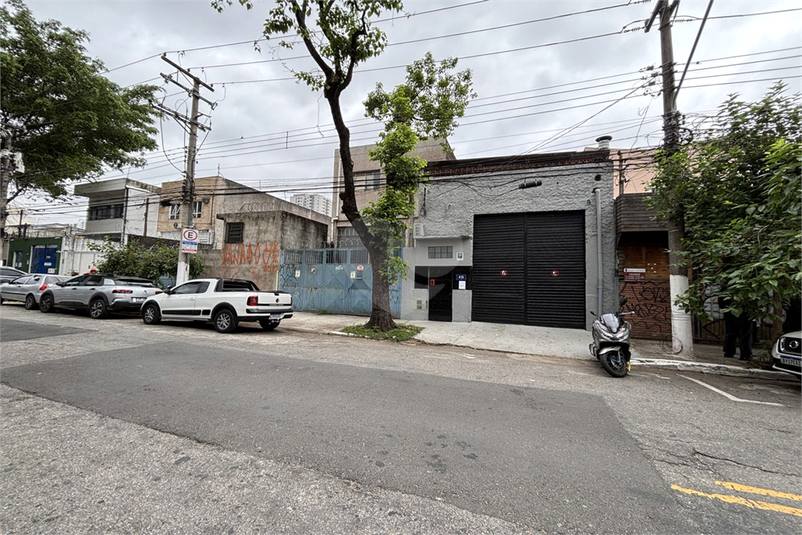Foto REO1129424