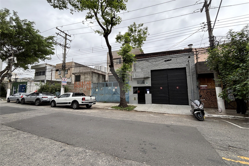 Foto REO1129424