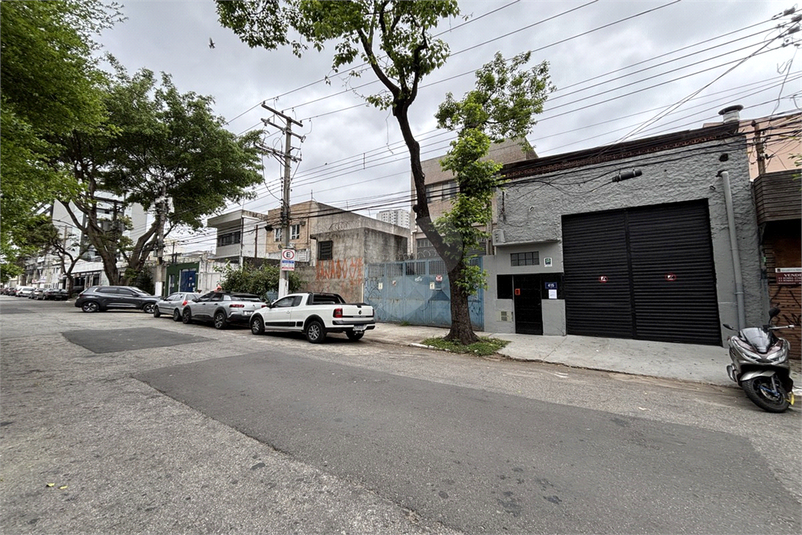 Foto REO1129424