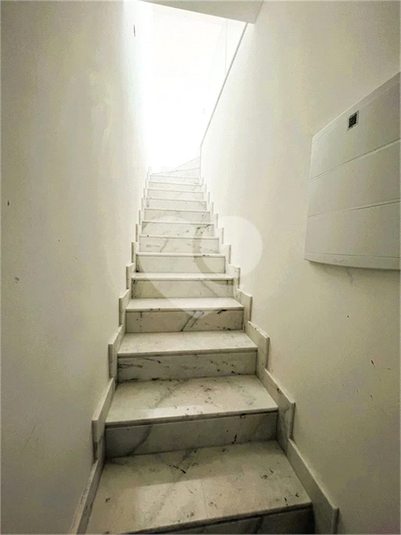Foto REO1129425