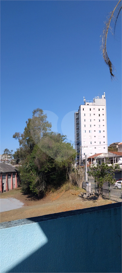 Foto REO1129426