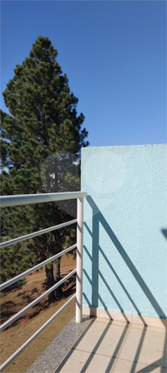 Foto REO1129426