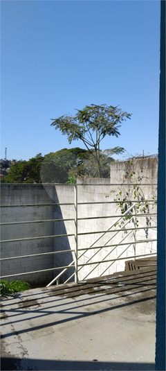 Foto REO1129426