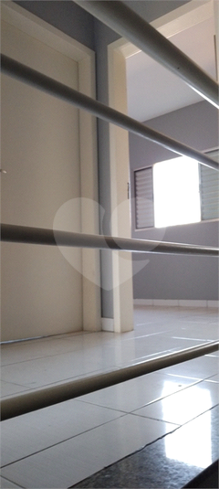 Foto REO1129426