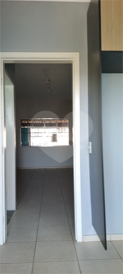 Foto REO1129426