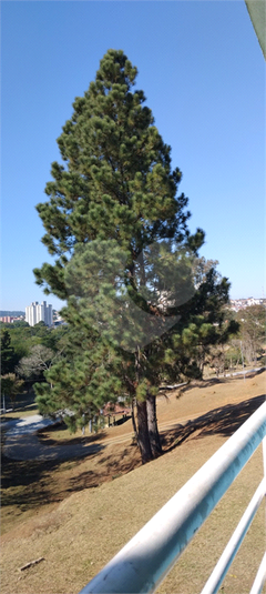 Foto REO1129426