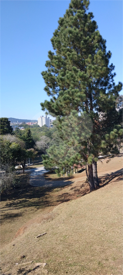 Foto REO1129426