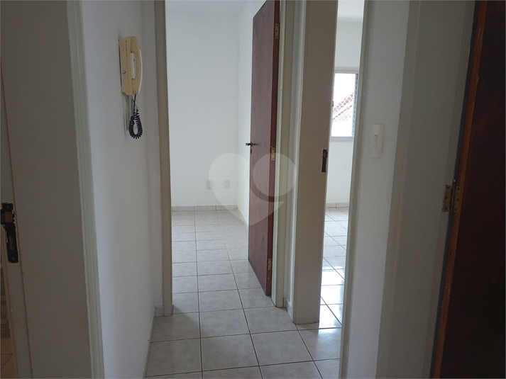 Foto REO1129429