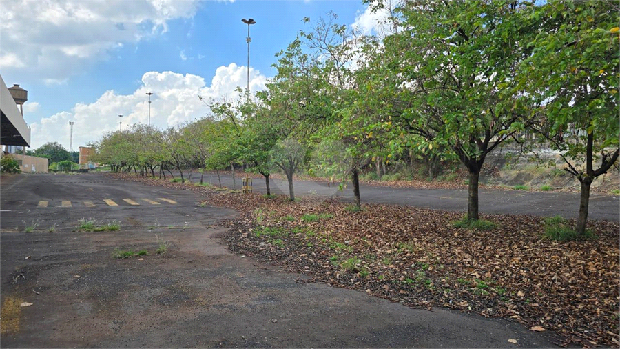 Foto REO1129434