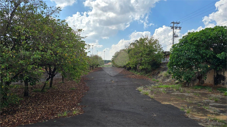 Foto REO1129434