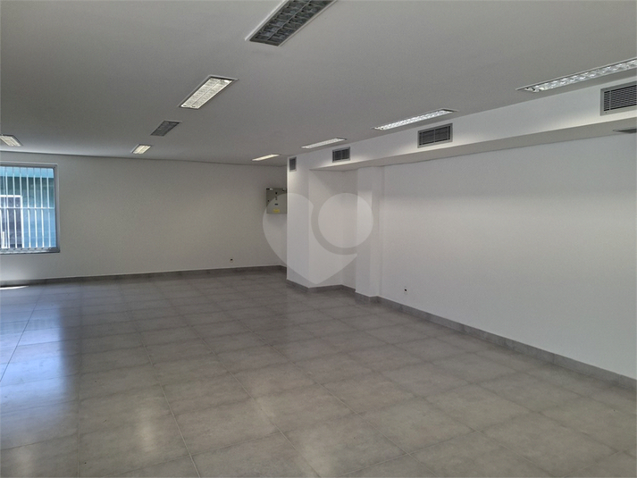 Foto REO1129435
