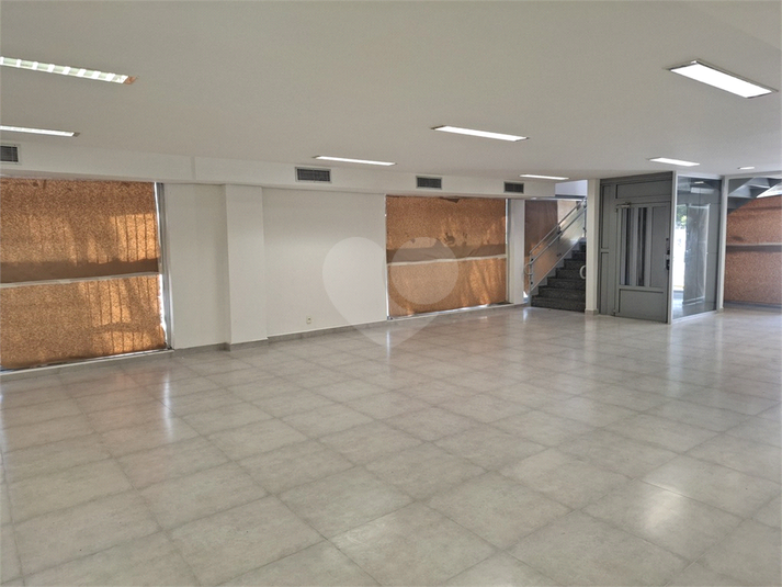 Foto REO1129435
