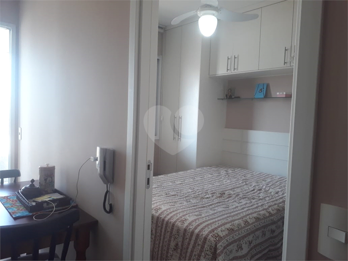 Foto REO1129437